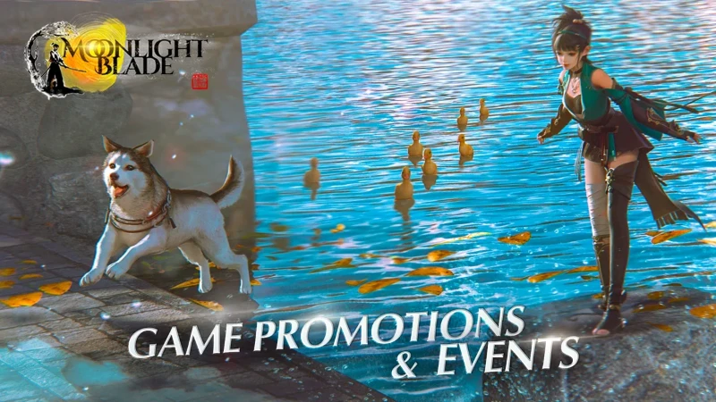 [21.11.2024] Promotions and Bonuses of 11/21/2024